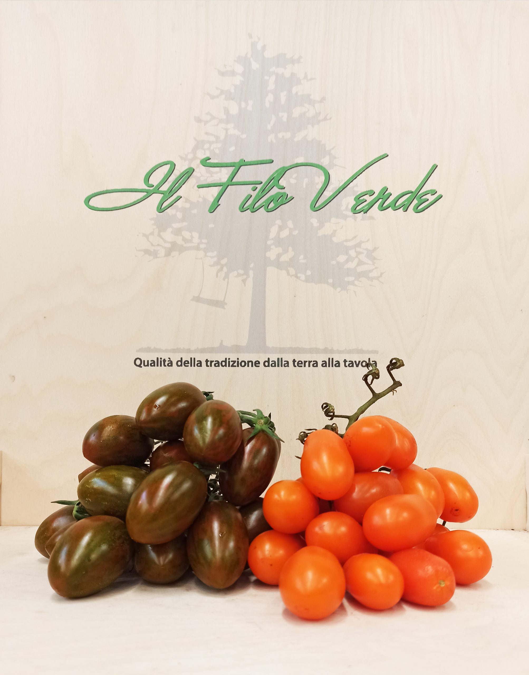 https://www.ilfiloverdesrl.it/wp-content/uploads/2021/08/Pomodoro-datterino-scaled.jpg