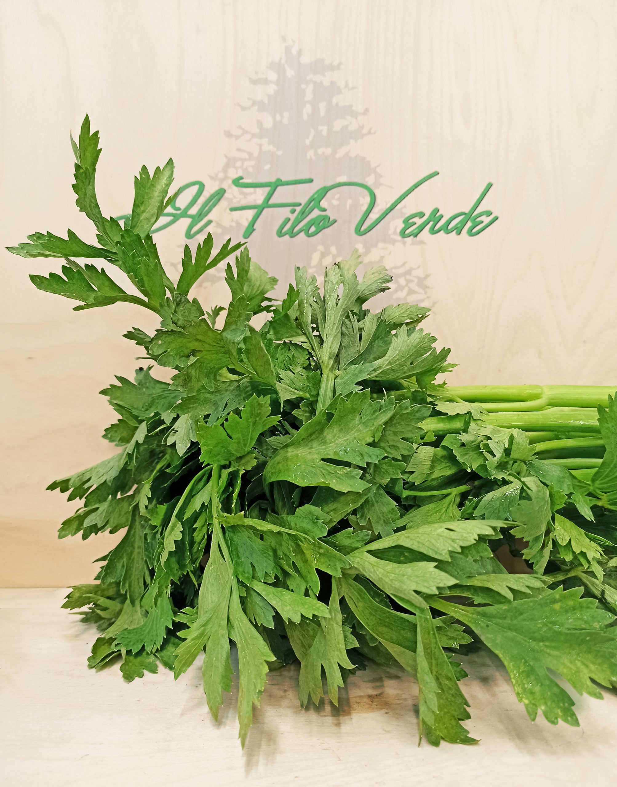 https://www.ilfiloverdesrl.it/wp-content/uploads/2021/08/Sedano-Verde-scaled.jpg
