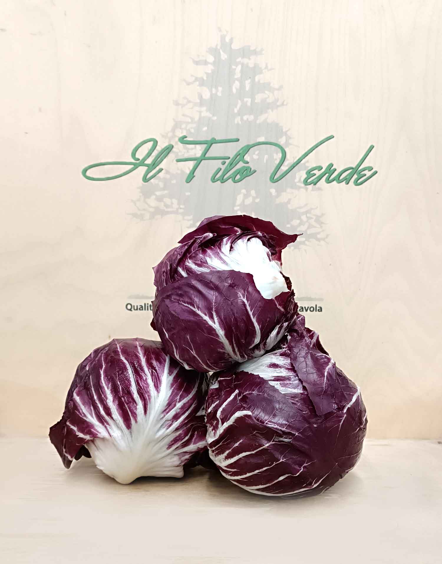 https://www.ilfiloverdesrl.it/wp-content/uploads/2023/10/Radicchio-Chioggia_ok.jpg