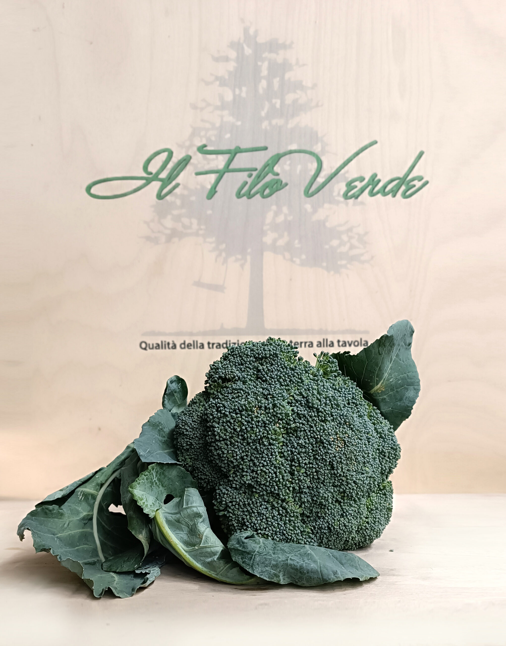https://www.ilfiloverdesrl.it/wp-content/uploads/2024/02/broccoletto-pugliese-scaled.jpg